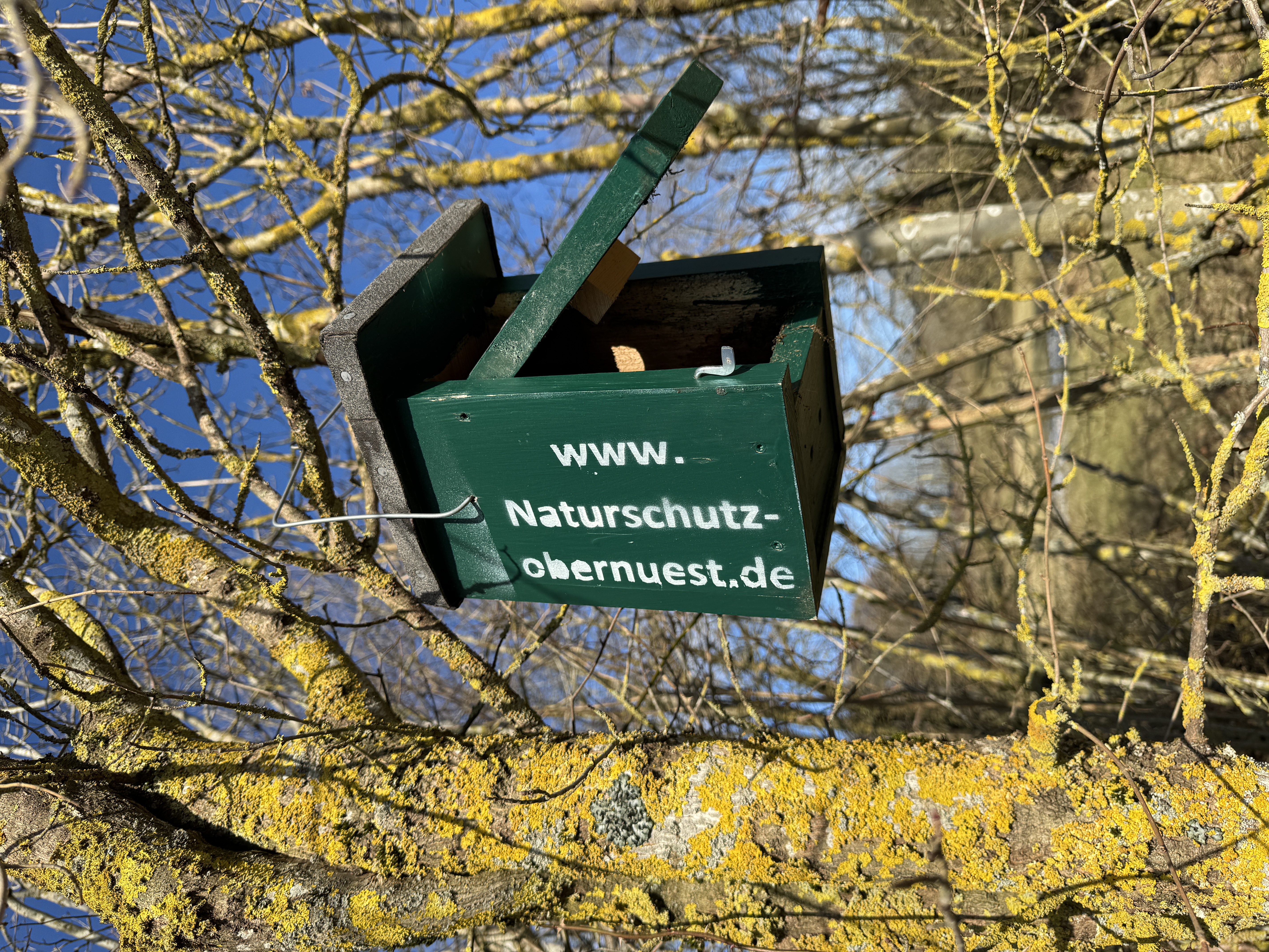 nistkastenreinigung